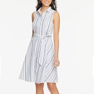 Ann Taylor Shirtdress - Size 2P - NWT